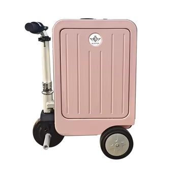 ALIOTOP Mini Stylish Electric Ride-Στις αποσκευές